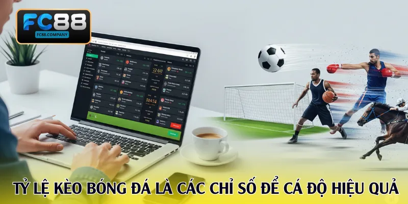Tỷ Lệ Kèo Bóng Đá - Kiến Thức Chuẩn Xác Và Cách Đọc Hiệu Quả