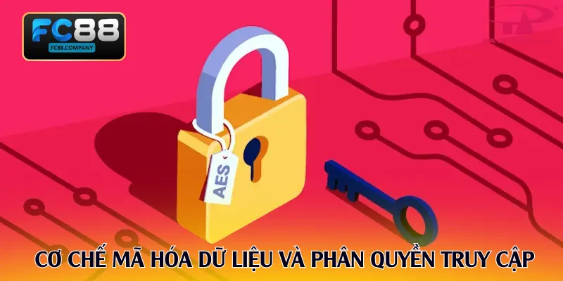 Điều Khoản Điều Kiện FC88 Minh Bạch Bảo Vệ Dữ Liệu Hội Viên