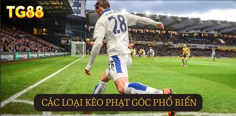 Kèo Phạt Góc - Khám Phá Chiến Lược Cá Cược Hiệu Quả tại TG88