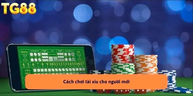 Cách Chơi Tài Xỉu – Hướng Dẫn Dành Cho Người Mới Tại TG88