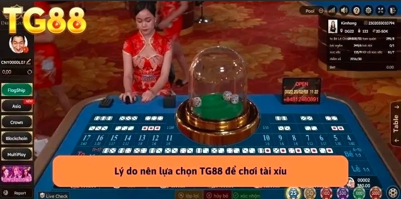 Các Loại Cầu Tài Xỉu: Khám Phá Mẹo Chiến Thắng Cùng TG88