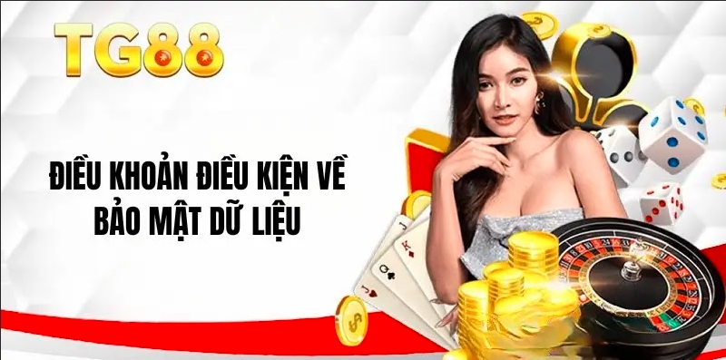 Điều Khoản Và Điều Kiện TG88 - Quyền Lợi Và Trách Nhiệm Của Người Chơi