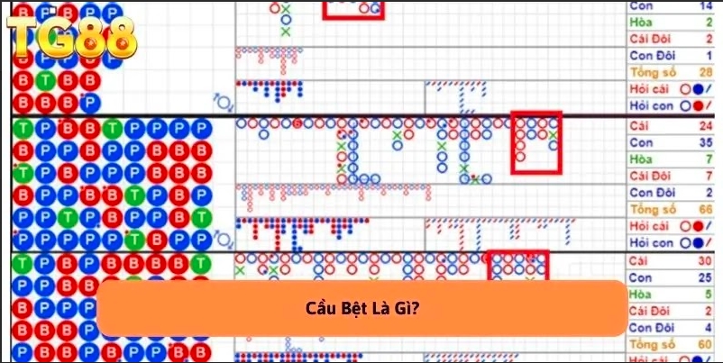 Cầu Bệt Là Gì? Bí Quyết Nhận Biết Và Tăng Tỷ Lệ Thắng 99%
