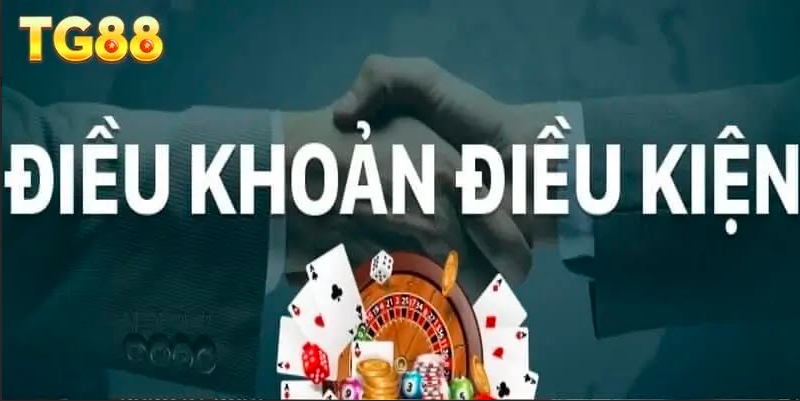 Điều Khoản Và Điều Kiện TG88 - Quyền Lợi Và Trách Nhiệm Của Người Chơi