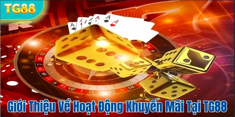 Khuyến Mãi TG88 - Cơ Hội Của Người Chơi Cá Cược Trực Tuyến