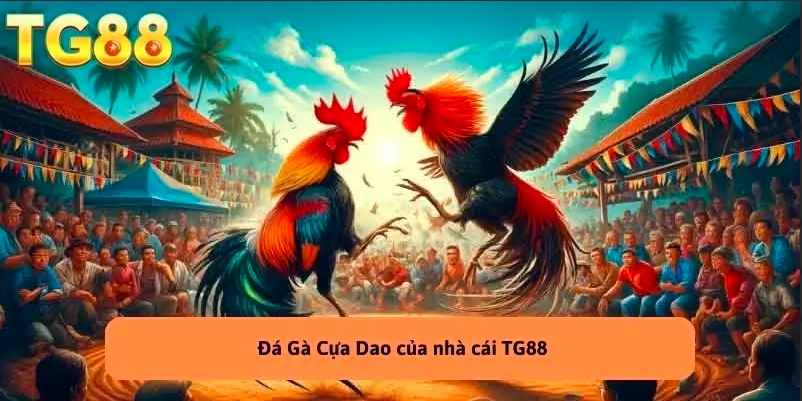Đá Gà TG88 – Tranh Đấu Chiến Kê Hấp Dẫn, Kèo Cược Hay Mỗi Ngày!