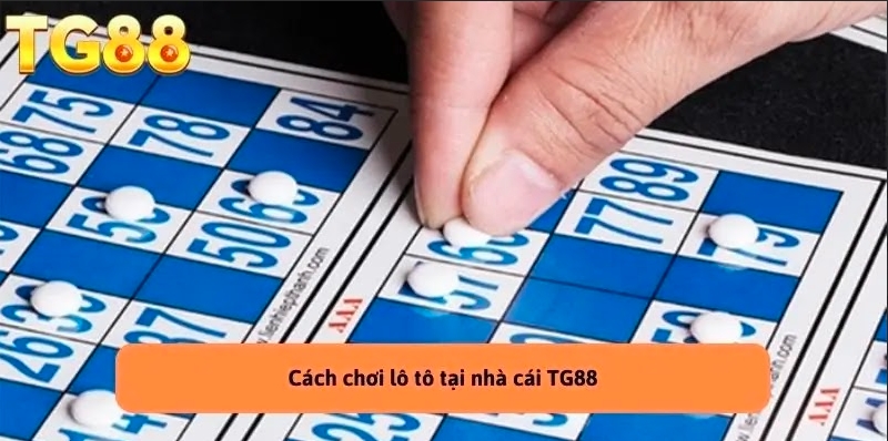 Cách Chơi Lô Tô Chi Tiết và Hiệu Quả Nhất 2026 Tại TG88