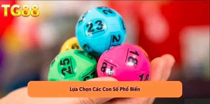 Lô Ba Càng - Cách Chơi Và Chiến Lược Dành Cho Người Mới