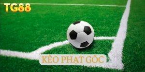 Thể Thao TG88 - Những Khoảnh Khắc Kịch Tính