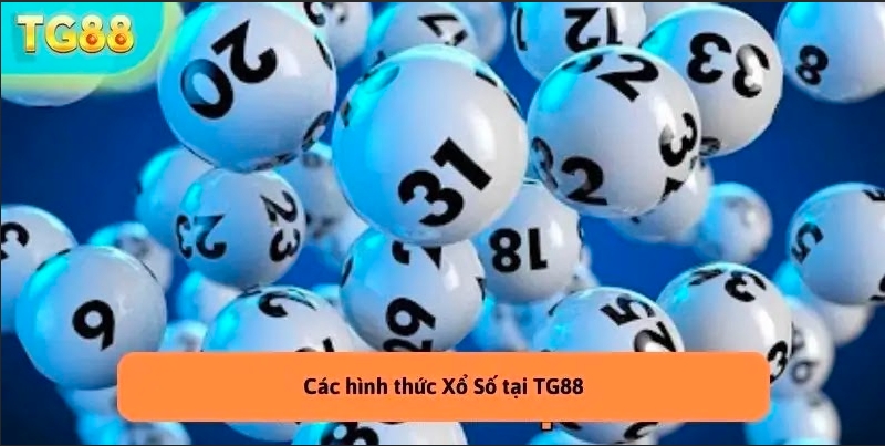 Xổ Số TG88 – Cơ Hội Đặc Biệt Trúng Lớn Chỉ Với 1 Con Số