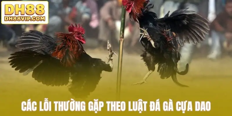 Luật Đá Gà Cựa Dao - Hướng Dẫn Đầy Đủ Từ Chọn Cựa Đến Kèo Đá