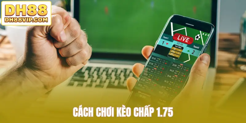 Mẹo Chơi Kèo Rung Hiệu Quả Giúp Người Chơi Tăng Tỷ Lệ Thắng
