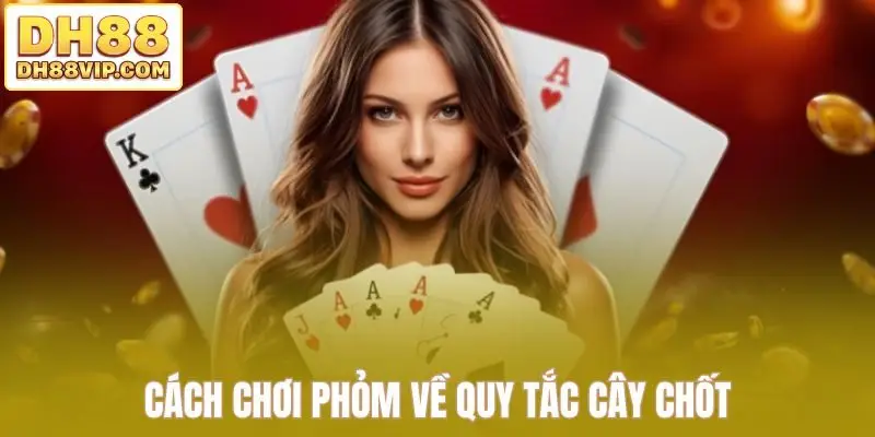 Hướng Dẫn Cách Chơi Phỏm DH88 Dành Cho Hội Viên Mới