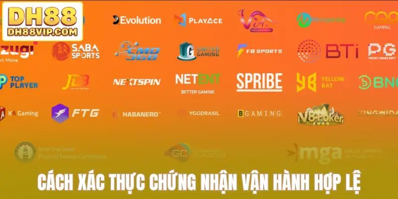 Giấy Phép Hoạt Động DH88 - Khẳng Định Uy Tín Thương Hiệu