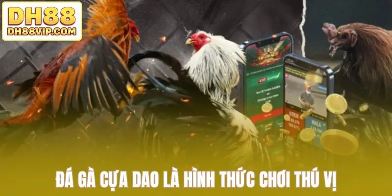 Luật Đá Gà Cựa Dao - Hướng Dẫn Đầy Đủ Từ Chọn Cựa Đến Kèo Đá
