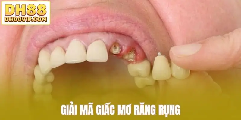 Giải Mã Giấc Mơ - Khám Phá Bí Ẩn Trong Mỗi Chiêm Bao Từ DH88