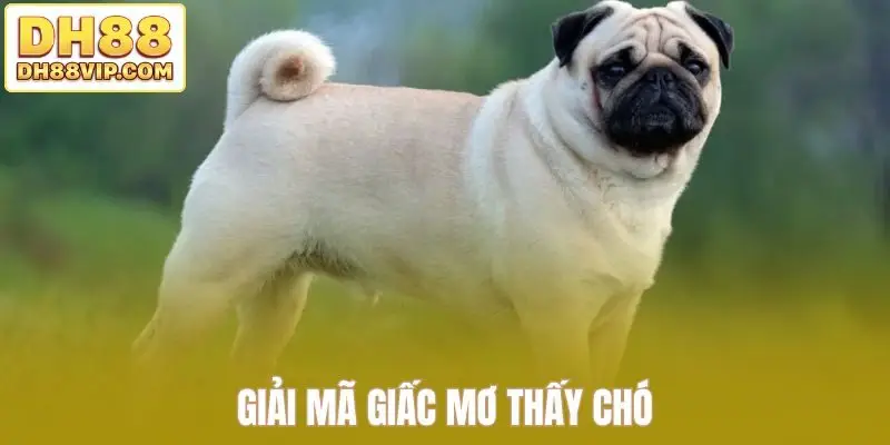 Giải Mã Giấc Mơ - Khám Phá Bí Ẩn Trong Mỗi Chiêm Bao Từ DH88
