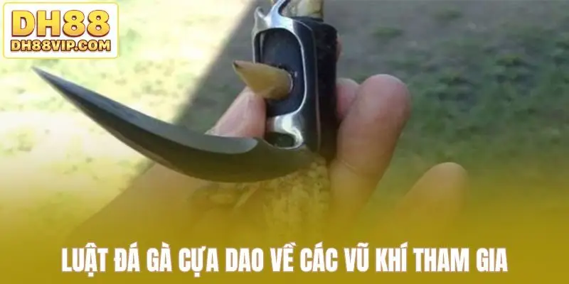 Luật Đá Gà Cựa Dao - Hướng Dẫn Đầy Đủ Từ Chọn Cựa Đến Kèo Đá