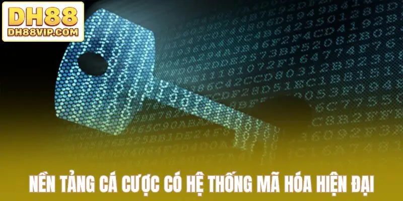 Giấy Phép Hoạt Động DH88 - Khẳng Định Uy Tín Thương Hiệu