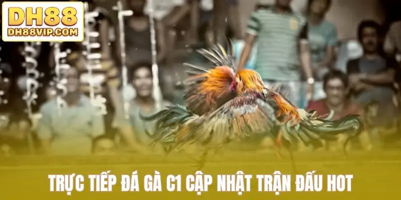Trực Tiếp Đá Gà C1 Tái Hiện Trọn Vẹn Đấu Trường Lớn Tại DH88