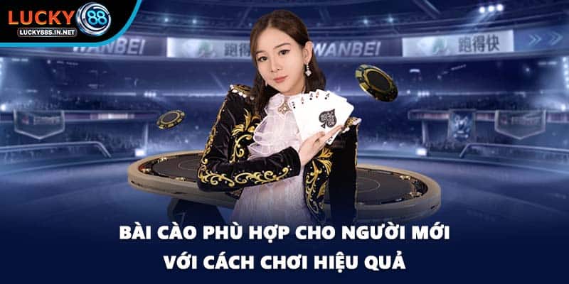 Bài Cào - Trò Chơi Dân Gian Quen Thuộc Tại Lucky88 