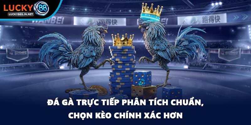 Đá gà trực tiếp - Xem Thật Chơi Thật Tại Nhà Cái Lucky88