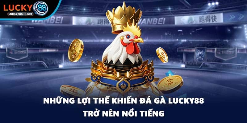 Đá Gà Lucky88 – Trường Gà Trực Tuyến Uy Tín Hàng Đầu