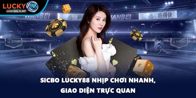 Sicbo - Trò Chơi Xúc Xắc Đầy Hấp Dẫn Tại Lucky88 