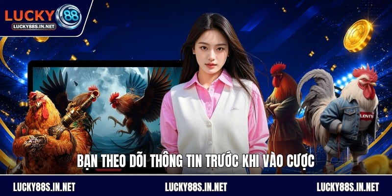 Kèo Bắt Đá Gà - Hướng Dẫn Đọc Kèo Và So Sánh Tỷ Lệ