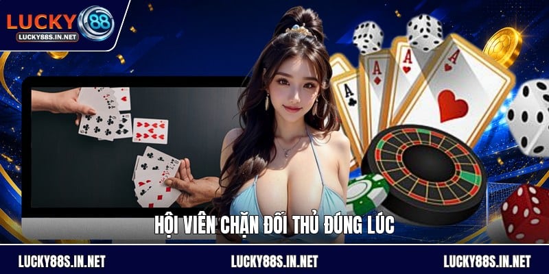 Mẹo Chơi Tiến Lên - Cách Đánh Bài Hiệu Quả Dễ Hiểu