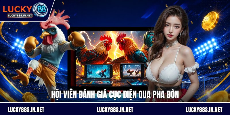 Đá Gà Cựa Sắt - Luật Chơi Và Cách Theo Dõi Đúng Luật