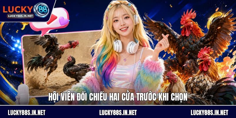 Kèo Bắt Đá Gà - Hướng Dẫn Đọc Kèo Và So Sánh Tỷ Lệ