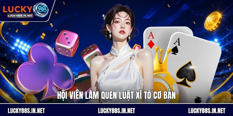 Cách Chơi Bài Xì Tố - Luật Chơi Và Cách Đọc Thế Bài