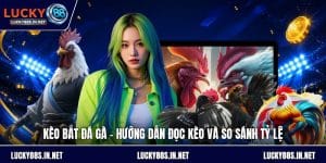 Đá Gà Lucky88 – Trường Gà Trực Tuyến Uy Tín Hàng Đầu