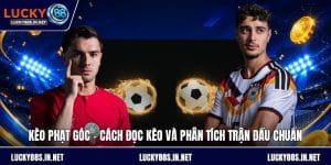 Thể Thao Lucky88 – Sảnh Cá Độ Thể Thao Trực Tuyến Đỉnh Cao