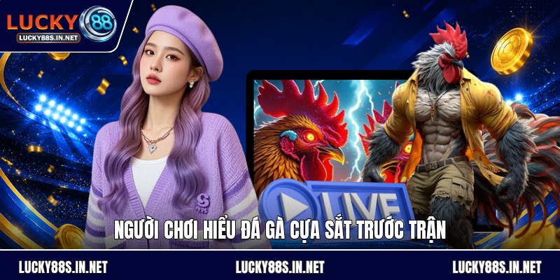 Đá Gà Cựa Sắt - Luật Chơi Và Cách Theo Dõi Đúng Luật