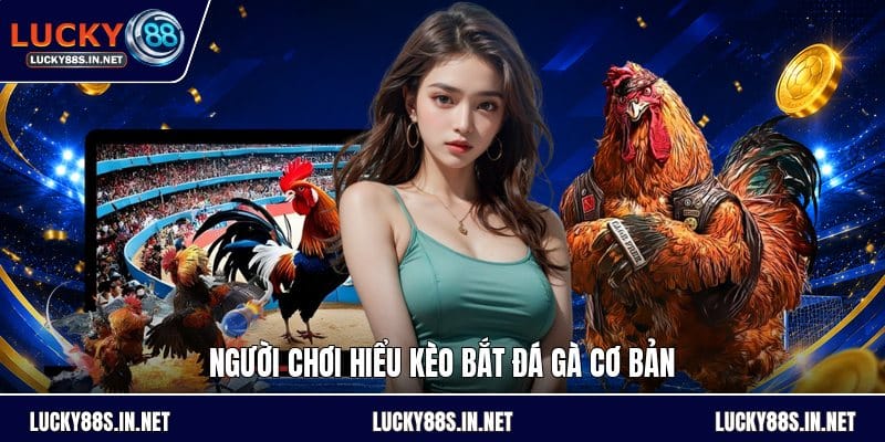 Kèo Bắt Đá Gà - Hướng Dẫn Đọc Kèo Và So Sánh Tỷ Lệ