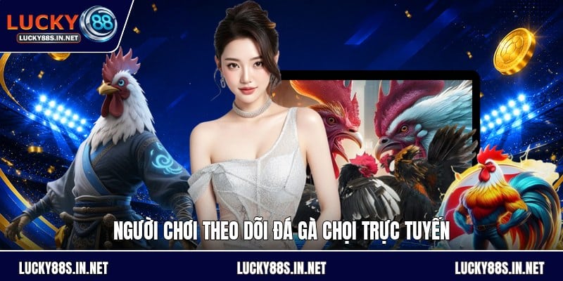 Đá Gà Chọi - Luật Đấu Và Cách Theo Dõi Kèo Dễ Hiểu