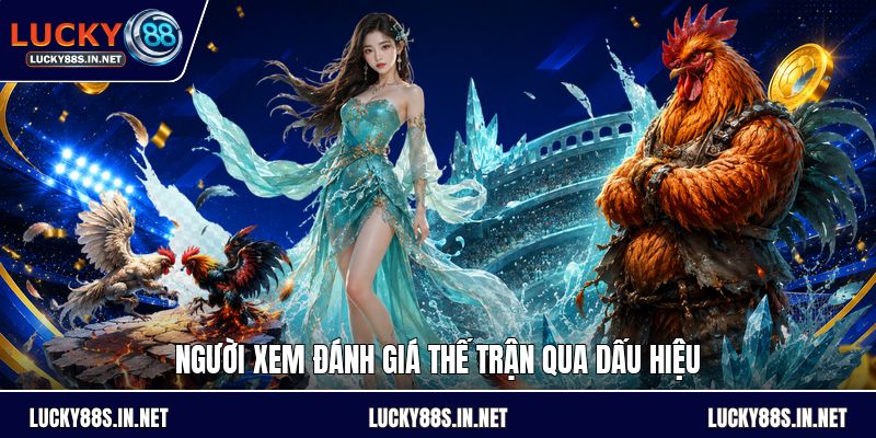 Đá Gà Chọi - Luật Đấu Và Cách Theo Dõi Kèo Dễ Hiểu