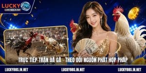 Đá Gà Lucky88 – Trường Gà Trực Tuyến Uy Tín Hàng Đầu